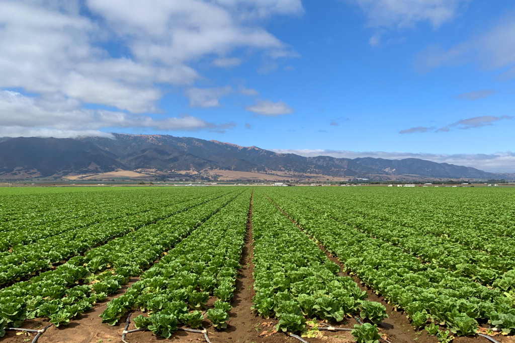 Chualar Road Ranch – Chualar, California - Mendrins